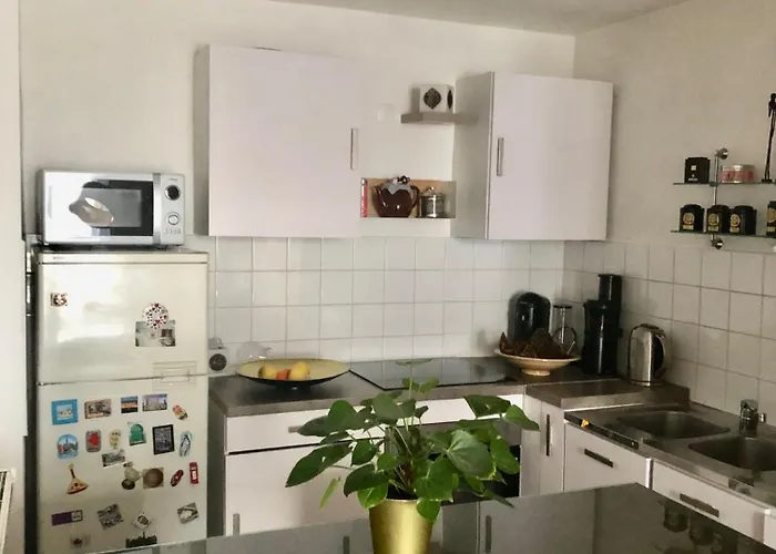 Appartement Trocadero/eiffel Tower *